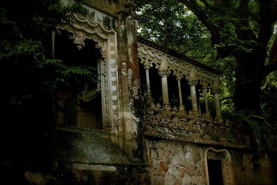 Abandoned built structure in forest