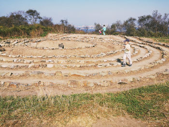 View of a field