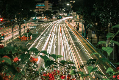 Light trails on road in city at night