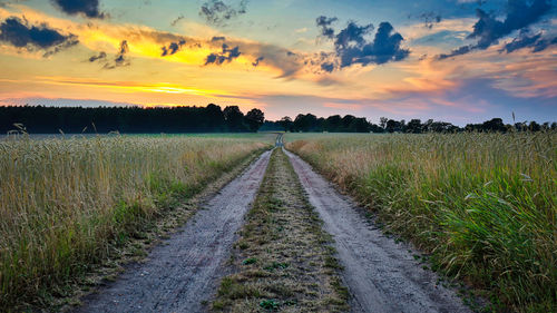 Scenic view of agricultural field against sky during sunset