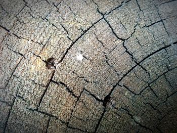 Full frame shot of white surface