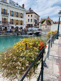 View of canal by buildings in city