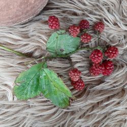 High angle view of strawberries