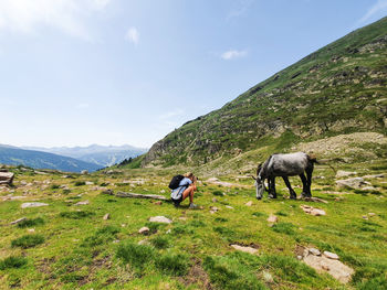 Woman in the mountains taking photographs of the foal horse standing in the meadow in green grass