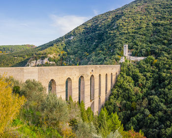 Arch bridge amidst trees and plants against sky