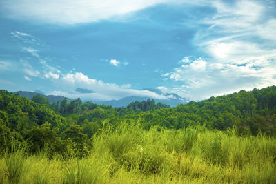 Scenic view of field against sky