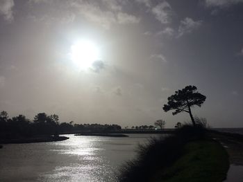 Scenic view of river and silhouette trees against sky