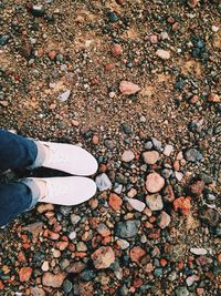 Close-up of pebbles