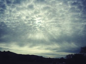 Low angle view of silhouette trees against sky