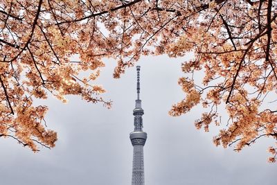 Low angle view of communications tower