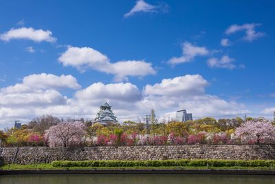 View of flowering plants against cloudy sky