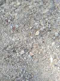 High angle view of stones on beach