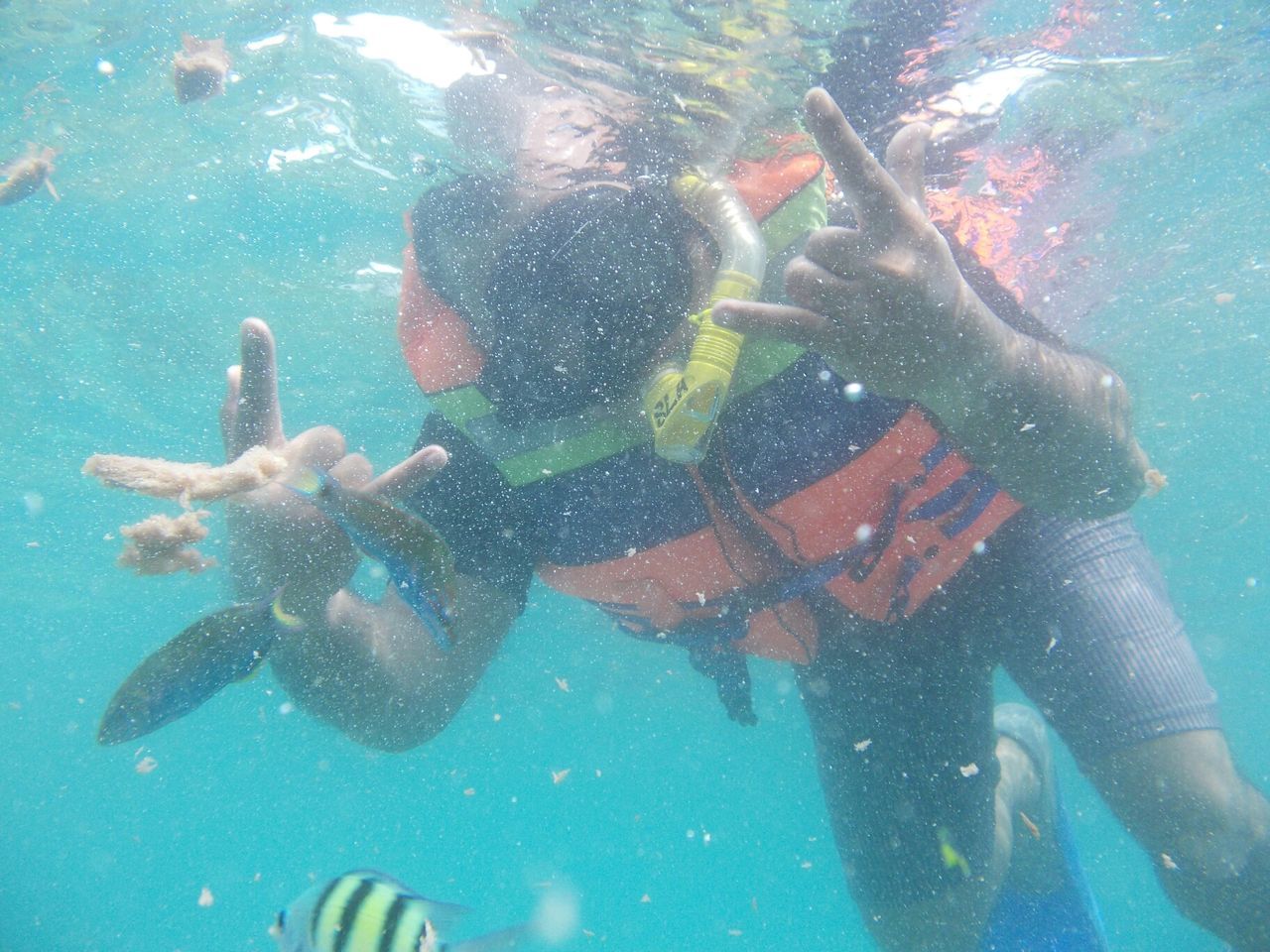 Snorkling, Pulau Tidung