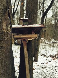 Close-up of wooden post against bare tree