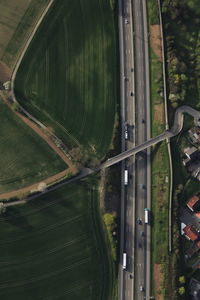 High angle view of agricultural field