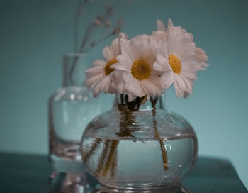 Close-up of flower in vase on table