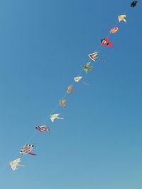 Kites against sky
