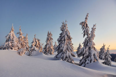 Snow covers lot