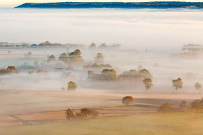 High angle view of trees on landscape during autumn