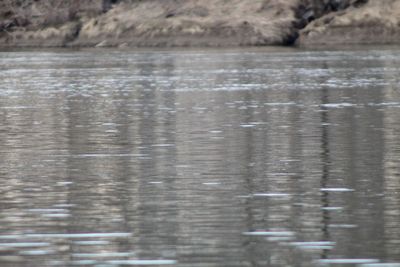 Full frame shot of rippled water