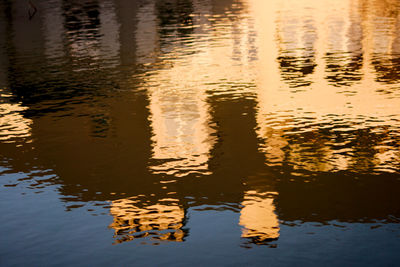 Reflection of tree in lake