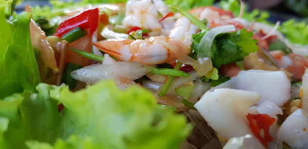 Close-up of food served in plate