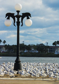 Street light by sea against sky in city