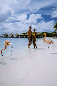 Couple with flamingos on beach