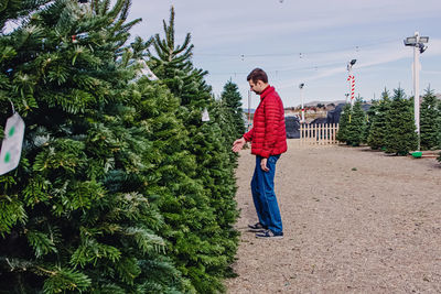 Man in a red jacket choosing a christmas tree on the holiday market. 