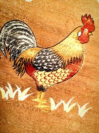 Close-up low section of feet