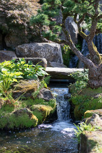 Stream flowing through rocks in forest