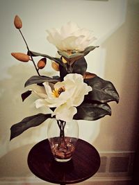 Close-up of rose in vase
