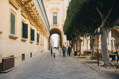 Walkway amidst buildings and trees