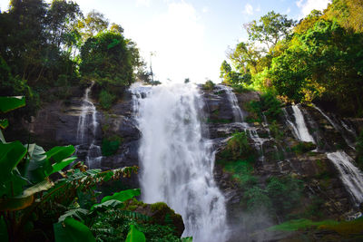 Scenic view of waterfall in forest