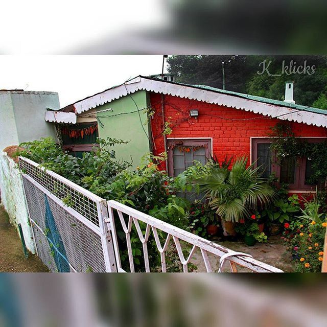 architecture, building exterior, built structure, house, plant, railing, residential structure, sky, residential building, roof, growth, day, window, outdoors, no people, green color, low angle view, building, potted plant, cloud - sky