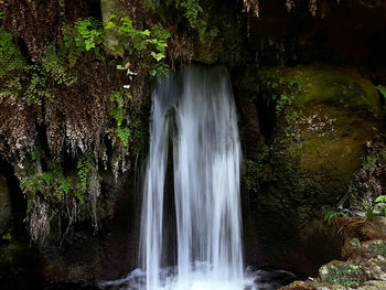 Low angle view of waterfall in forest