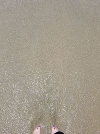 Low section of woman standing on beach