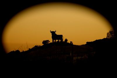 View of sky at sunset