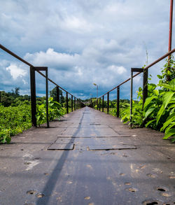 Surface level of road amidst trees against sky