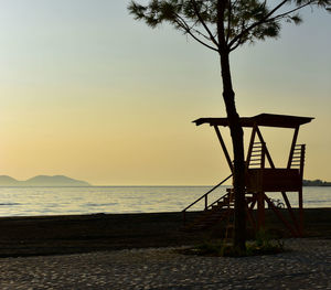 Silhouette tree on beach against clear sky at sunset