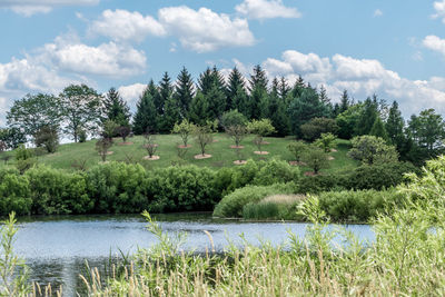 Trees on field against sky