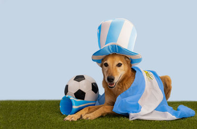 Close-up of soccer ball against white background