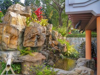 Stone wall by trees and plants in garden