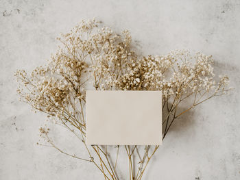 Blank card ideal for mockups  on earthy coloured background