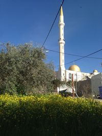 Plants growing on field by building against clear blue sky