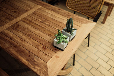 View from above on wooden table with potted cactus