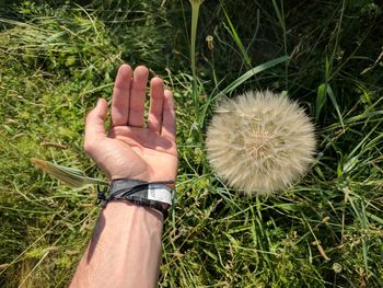 Close-up of hand on grass