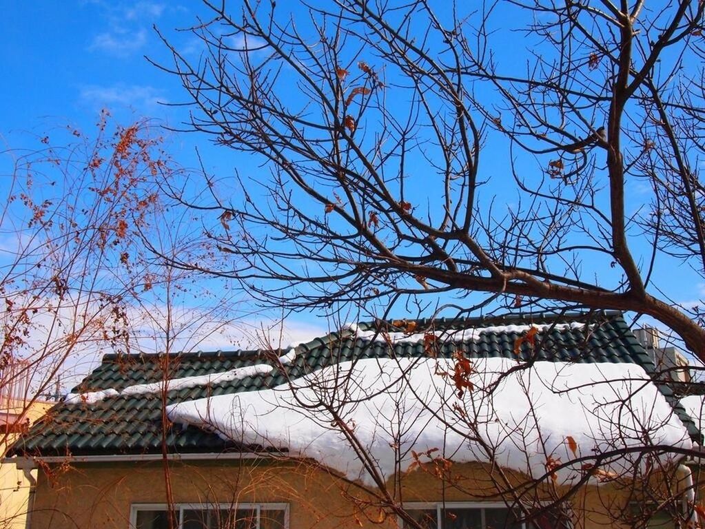 building exterior, architecture, built structure, bare tree, house, low angle view, tree, branch, residential structure, residential building, sky, roof, building, outdoors, snow, day, winter, no people, blue, cold temperature