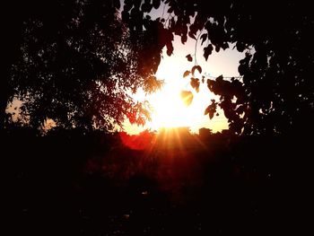 Silhouette trees against sky during sunset