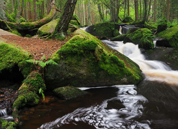 Waterfall of st.wolfgang on the river mala vltavice, sumava mountains, czech republic